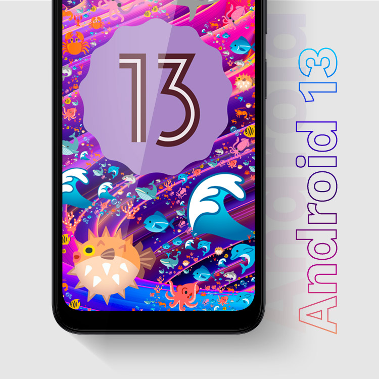 Android 13 Telefon cu Android 13