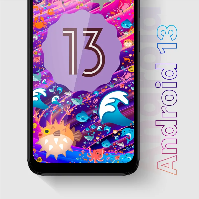 Smartphone Flow 10 Negru Kruger&Matz