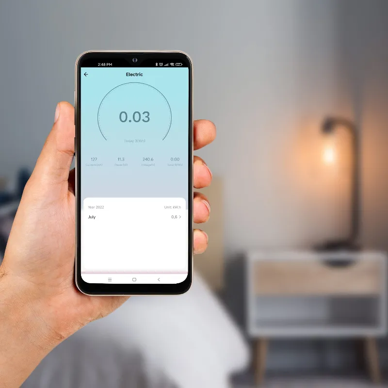 Priza Smart Wifi Connect P5 Tuya Kruger&Matz